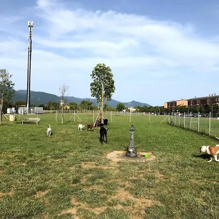 Garden Alpesi faház Pisa