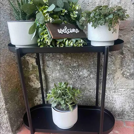 Alpesi faház Garden Pisa