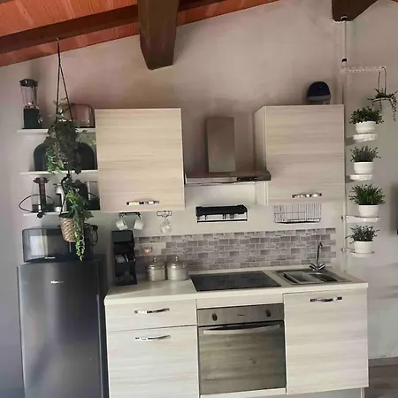 Alpesi faház Garden