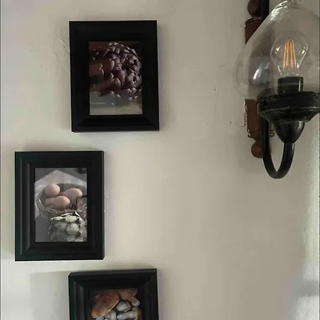 Alpesi faház Garden *