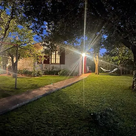 Garden Alpesi faház