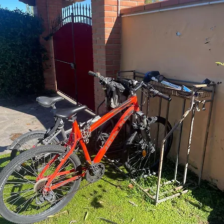 Alpesi faház Garden