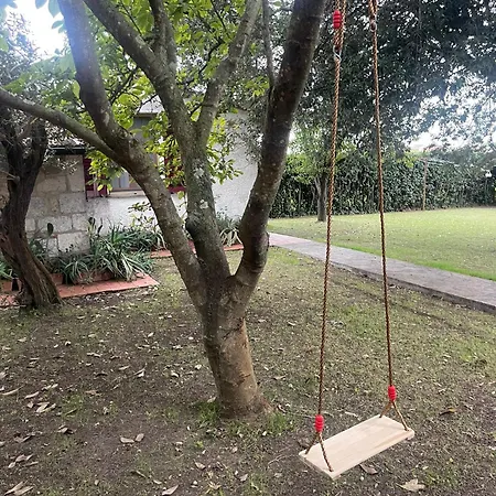 Alpesi faház Garden Pisa